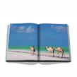 Assouline - Livre -  Red Sea: The Saudi Coast - Photo